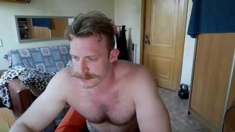 WhiteBull online show from June 30, 2:40 pm