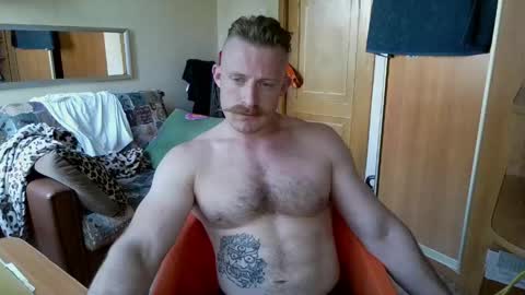 WhiteBull online show from June 7, 3:41 pm