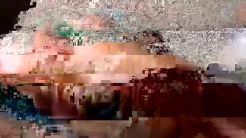 whitelava_4u online show from October 1, 10:08 am