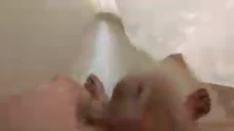 whitelava_4u online show from July 21, 7:54 am