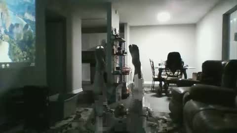 white wolf   jeremy online show from February 13, 11:37 am