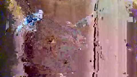 Snapshot of whoanelly0 chatting on September 18, 10:06 am whoanelly0 online show from September 18, 10:06 am