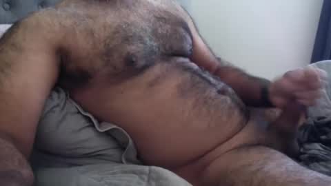 wildhungry online show from December 1, 6:55 pm