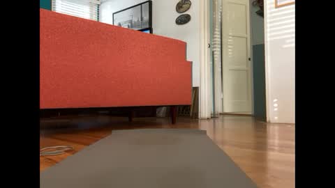 William online show from December 8, 4:39 pm