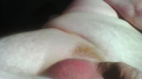 Willy Stroker online show from November 4, 5:36 pm