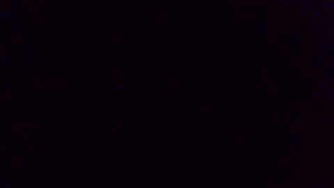 wohnung_at online show from April 9, 1:17 pm