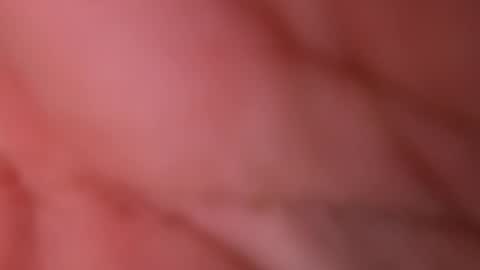 wolfganghanzel online show from April 22, 10:25 pm