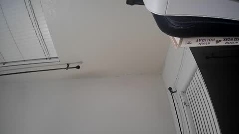 WoodCouldShould86 online show from January 15, 8:40 am