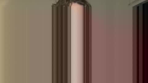 AlexAdams9t5 online show from November 16, 2:25 am