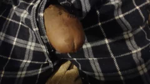 xentric777 online show from April 4, 1:19 pm