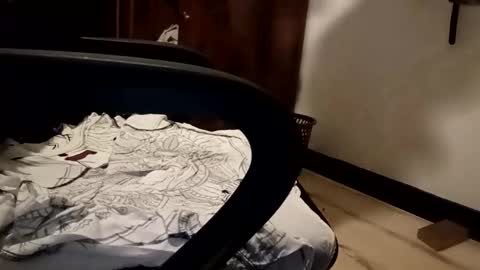 xxboyfunlive online show from March 20, 7:07 pm