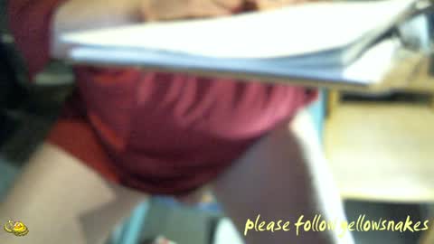 .     y e l l o w s n a k e s       . online show from March 29, 10:37 am