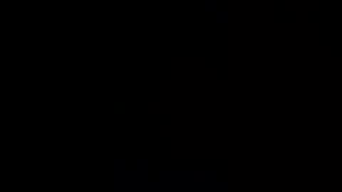 z_e1 online show from July 29, 11:37 pm