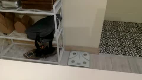 ZayWangin online show from January 31, 12:40 pm