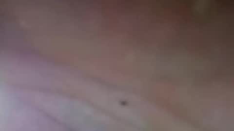 zekas30 online show from March 26, 11:03 am