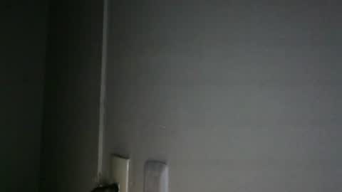 zoro_00 online show from July 15, 12:50 am