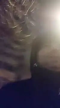 J0nyhson online show from January 12, 8:47 pm