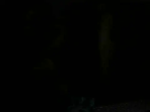 Snapshot of NovaChina chatting on February 20, 6:39 am NovaChina online show from February 20, 6:39 am