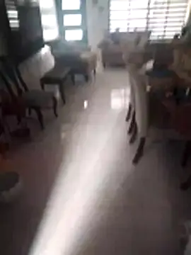   420   online show from November 4, 10:22 pm