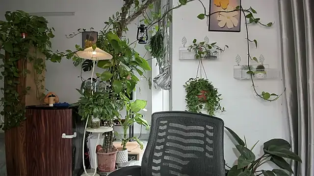 Oliver Nl online show from February 2, 5:06 am