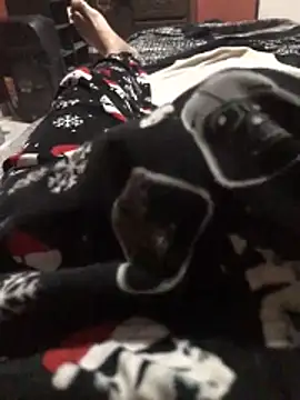 mivergateculeabienrico online show from April 8, 7:19 am