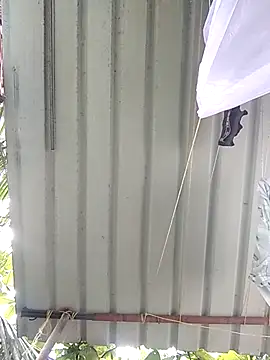 Mafiya1604 online show from September 27, 4:21 am