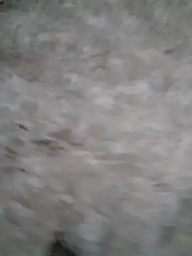 Mafiya1604 online show from September 17, 1:23 pm