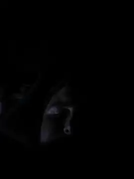 ConnerWang online show from November 12, 11:53 pm