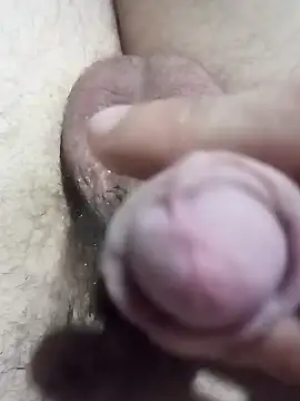 El22 1431 online show from December 22, 4:06 am