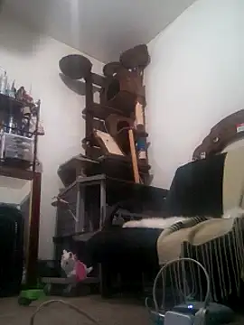 Snapshot of LongDickZee562 chatting on February 27, 4:09 am LongDickZee562 online show from February 27, 4:09 am