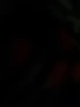 THE-LOVE-BOY online show from April 25, 4:26 am