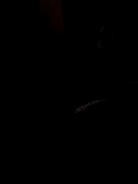 ySqmbVanbe online show from March 13, 8:44 am