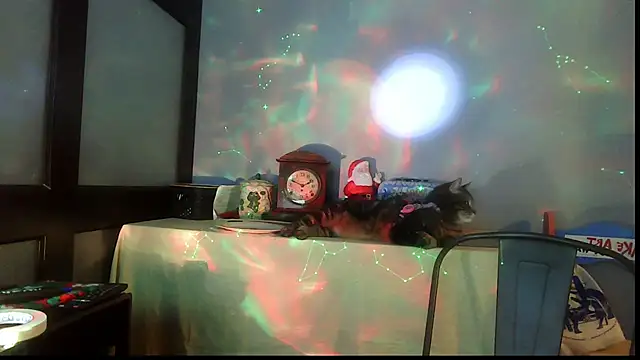 SexWorkerX online show from January 11, 12:15 am