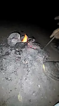 indobigboss online show from January 3, 1:16 am