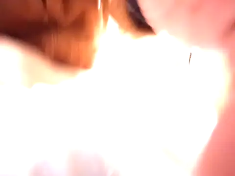 pnp0Japan online show from December 31, 3:09 pm