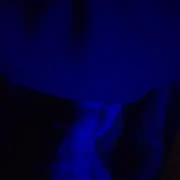 Mongjuporis online show from October 27, 1:57 pm