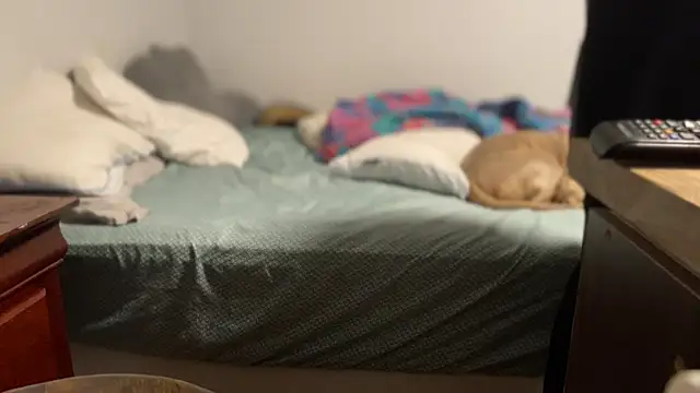 flexingplexico online show from November 5, 9:11 am