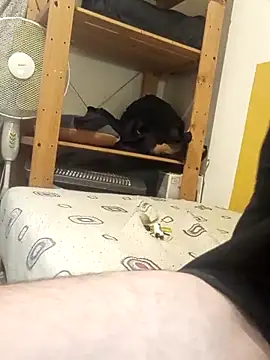 AquaticMovement74 online show from September 24, 7:12 pm