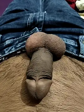 PAWARXX 0 online show from September 30, 8:51 am