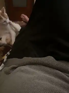 bigboy30X online show from October 31, 4:21 pm