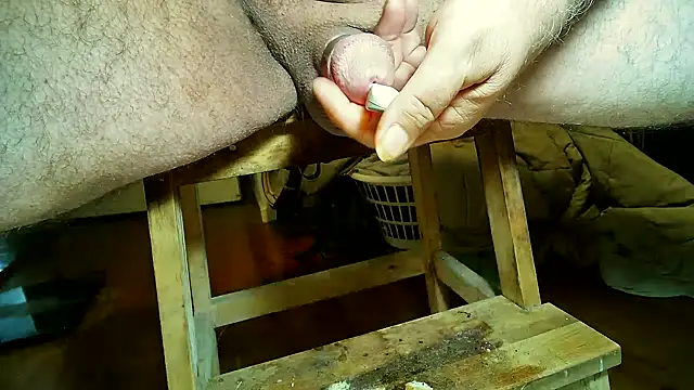 Snapshot of CBT_FUN_TIME chatting on January 2, 3:48 am CBT FUN TIME online show from January 2, 3:48 am