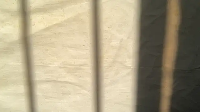 beforeyou69 online show from November 6, 8:06 am