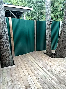 twist699 online show from November 11, 6:46 pm