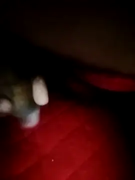 ShivamFactor3 online show from December 18, 9:55 pm