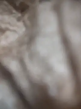 VL25DN26 online show from March 9, 2:00 pm