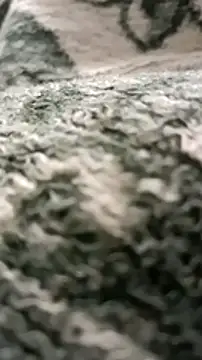 sokrates13 online show from January 11, 7:38 pm