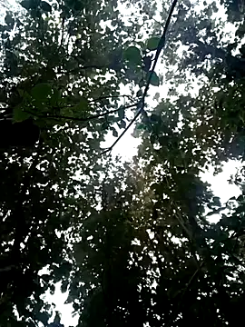 Fucker boy 1 online show from January 19, 3:50 am