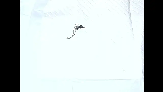 dick-penisu102 online show from October 4, 5:40 pm