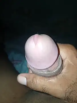 taylorWiiz online show from November 25, 3:41 am