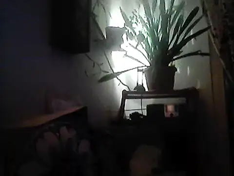 Snapshot of Bigpenis6y chatting on December 30, 3:57 pm Bigpenis6y online show from December 30, 3:57 pm